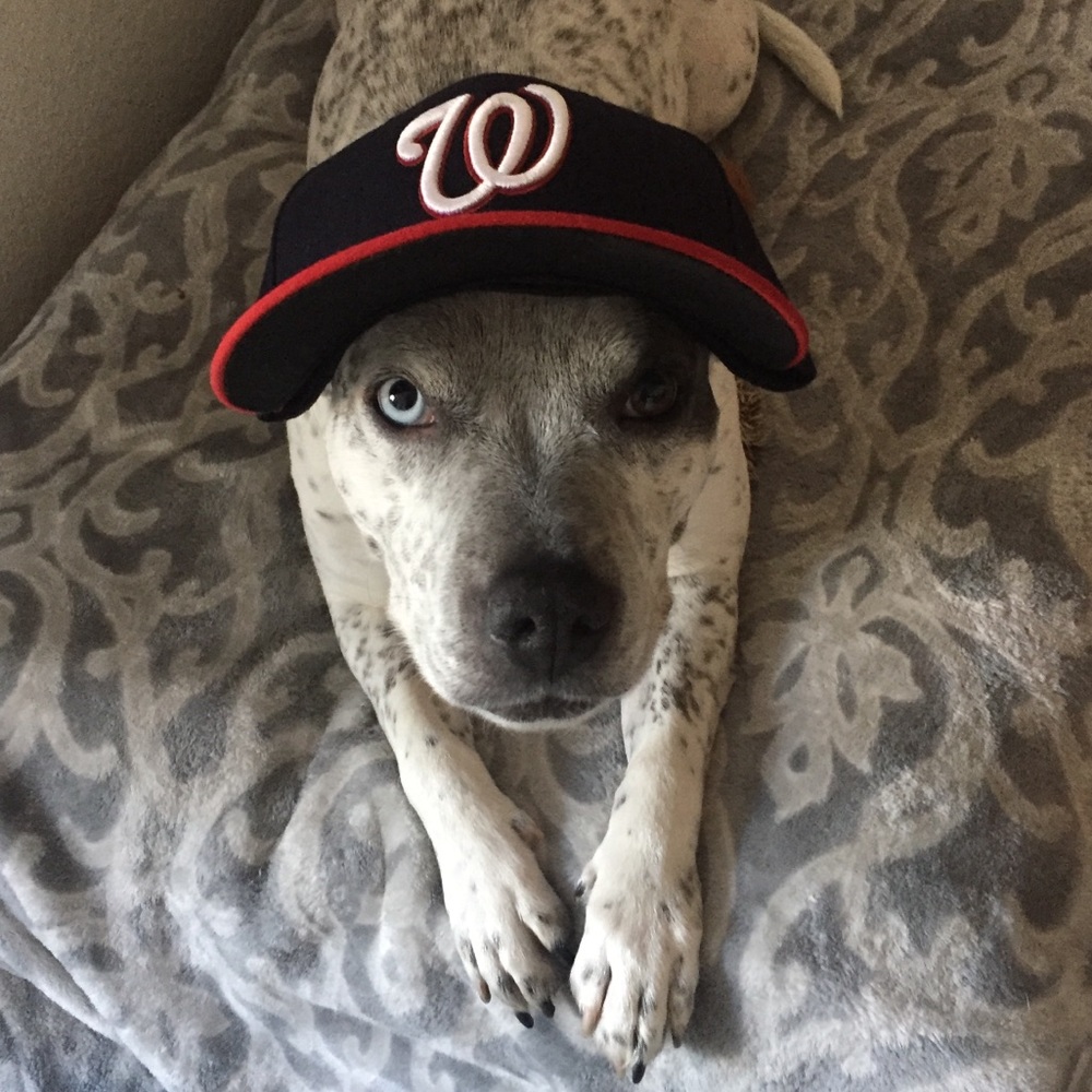 Meet your Posher, Mackenzie